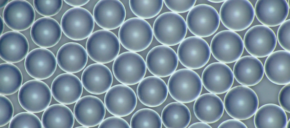 樹(shù)脂系微粒子 Micropearl™